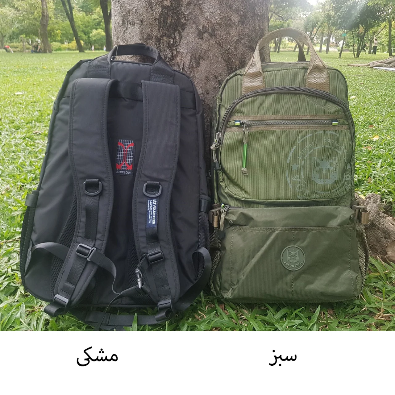 رنگ: سبز